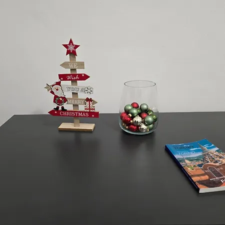 Apartament Centro Metro Bernini Porta Susa Politecnico Juventus Stadium *